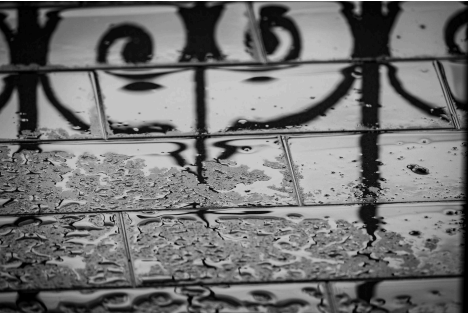 Wet and Humid Climates