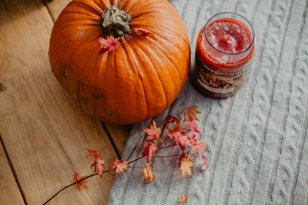 Cozy Fall Ideas for Your Backyard 