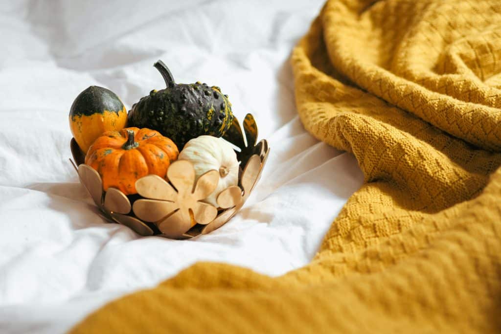 Cozy Fall Ideas for Your Backyard 