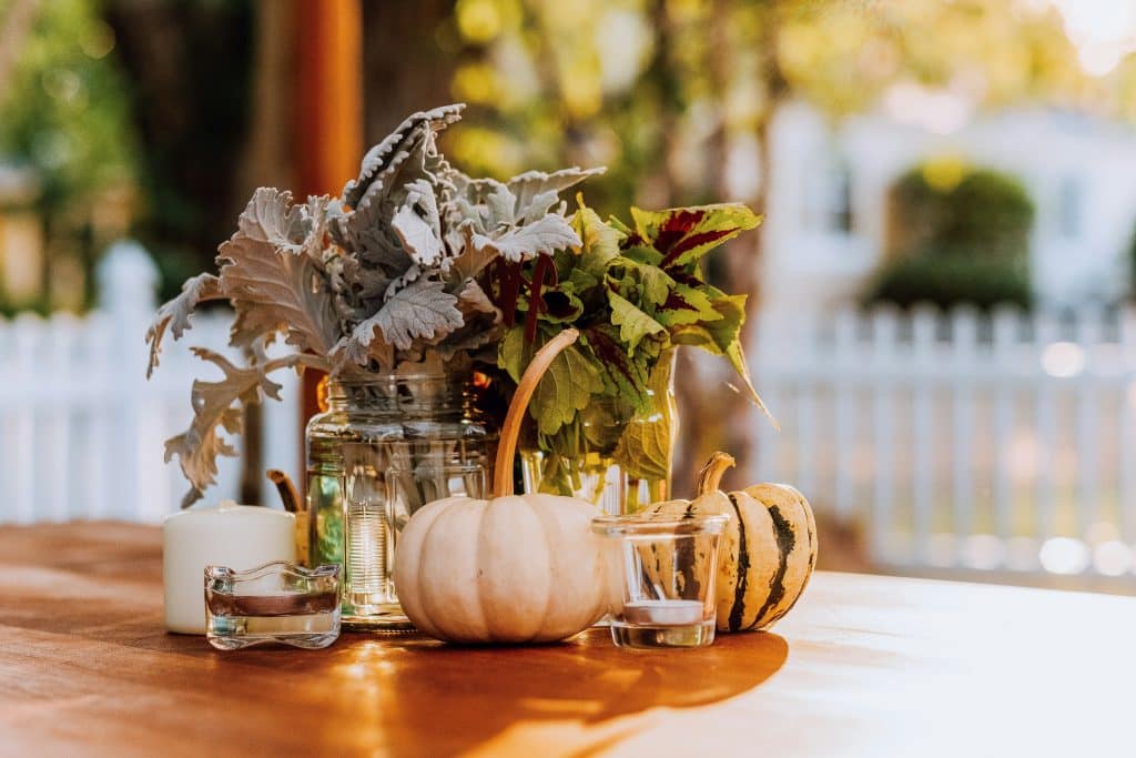 Cozy Fall Ideas for Your Backyard 